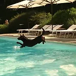 Agroturismo Poggio 3 Lune